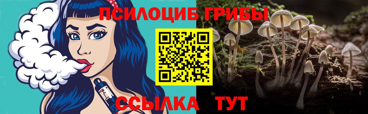 Домодедово  Галлюциногенные грибы Psilocybine cubensis  Псилоцибиновые грибы MAGIC MUSHROOMS  где купить наркоту  Вход с VPN 